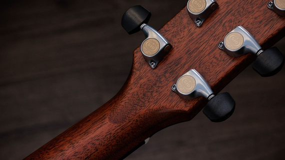 Taylor 814e Gold Label – gitara elektroakustyczna