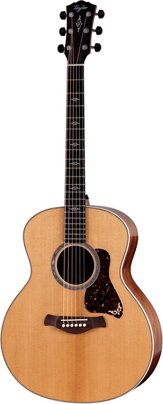 Taylor 814e Gold Label – gitara elektroakustyczna