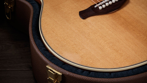 Taylor 814e Gold Label – gitara elektroakustyczna